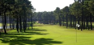 Un des meilleurs golf de la region de Lisbonne