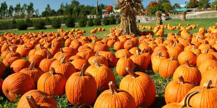 halloween au Portugal